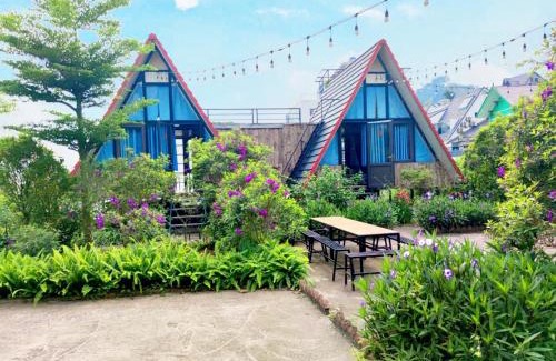 Tam Dao House | Ban Mai Xanh homestay Tam Đảo
