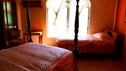 Armenia Cabin | Banana Bank Lodge & Jungle Horseback Adventures