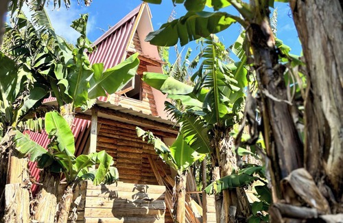 Angra do Heroismo Cabin | Banana Eco Camp