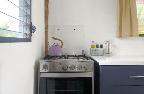 Jiquelite Apartment | Banana Tree Popoyo