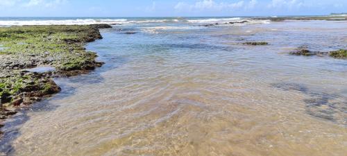 Itacimirim House | Bangalô Tavarua Itacimirim Pé na areia