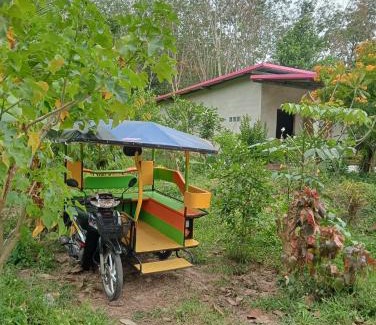 Nuea Khlong Other | Bangkaew Camping place bangalow