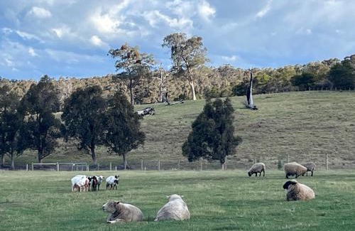 Seaton Villa | Banjos Cabin Gippsland - Luxury Eco Stay - King Bed, Pond Valley Views, Fireplace