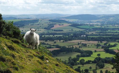 Bishops Castle Bed & Breakfast | Bank House B&B