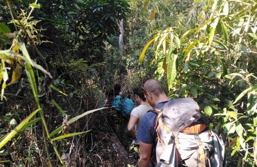 Ban Lung House | Banlung reggae bar homestay& SonaTrekking Tours