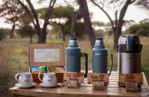 Tarangire National Park Cabin | Baobab Tented Camp