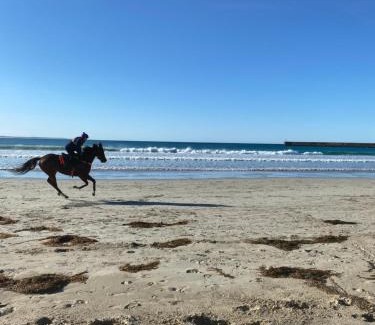 Warrnambool House | Barkly Beach House Warrnambool