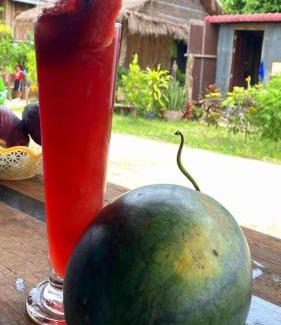 Svay Pao House | Battambang Eco Stay &cooking class