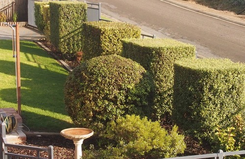 Penneshaw House | Baudin House