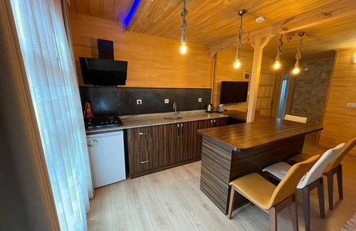 Uzungol Apartment | Bavul Suite