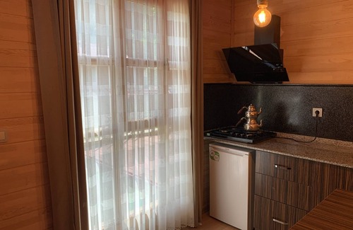 Uzungol Apartment | Bavul Suite