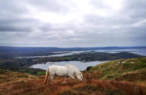 Cashel House | BaySide Cottage Connemara