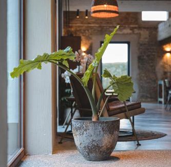 Dudzele Bed & Breakfast | BBruT