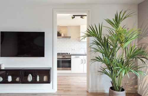 Zandvoort Apartment | Beach and Dunes Apartment