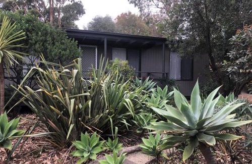 Ventnor Apartment | Beach Cottage in Ventnor
