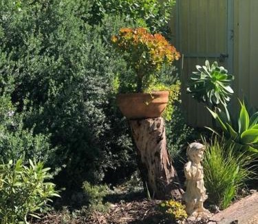 Ventnor Apartment | Beach Cottage in Ventnor