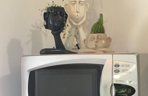 Te Awanga Apartment | ‘Beach Daze’ Te Awanga - beach front self contained flat (dog friendly)