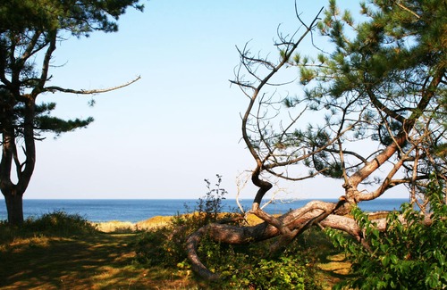 Udsholt Sand House | Beach House Denmark - Holiday home for 6-8 pers - North Seeland