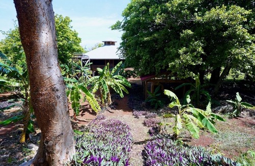 Guanaja House | Beach house in st Helene. Same property as channel bar and grill.