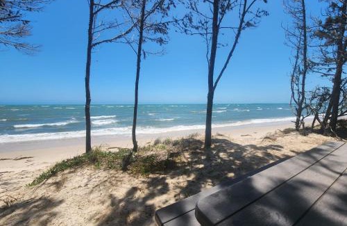 Toogoom House | Beach Shed with Pizza Oven