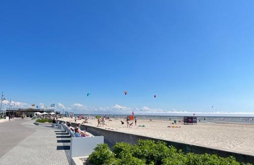Beach Area Apartment | Beach Surf Papli
