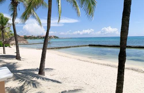 Puerto Aventuras Apartment | Beachfront Breathtaking Views Puerto Aventuras