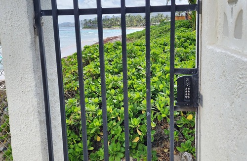 Christiansted Condo | Beachfront Condo -Close to Town - Gated Community
