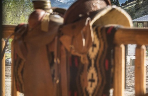 Jardine Cabin | Bear Creek Cabin 2 - 2 bed, 2 bath cabin, sleeps 6