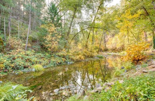 Sutter Creek House | Bear Lodge Waterfront Cabin with Level 2 EV Charger