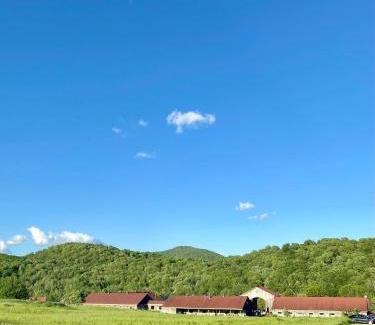 Bromont Hotel | Beatnik Hotel