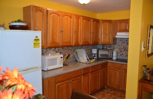 St.Bran's Burg Condo | Beautiful 1 BR Beach View Apartment, Gated, Serene.