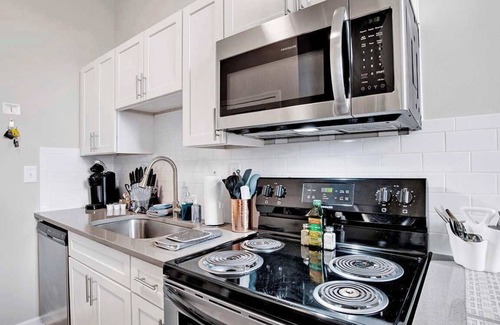 Central Business District Apartment | Beautiful 1 BR Renovated Apt in downtown