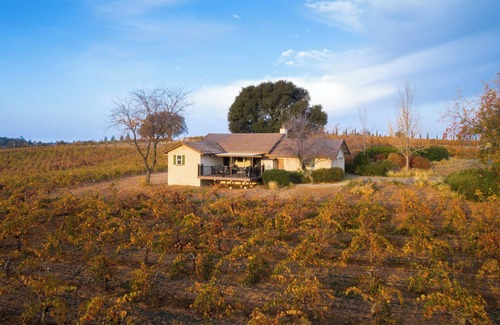 Shenandoah Valley Cottage | Beautiful 2 bedroom 2 bath Vineyard house located in a vineyard on 40 acres