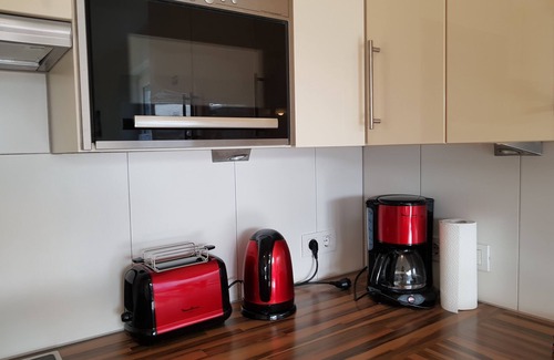 Koblach Apartment | Beautiful 4.5 room apartment, air-conditioned, large balcony, directly on CH