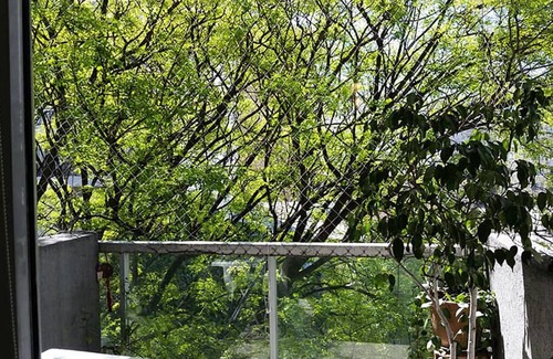 Comuna 7 House | BEAUTIFUL AND COMFORTABLE APARTMENT IN BUENOS AIRES CITY