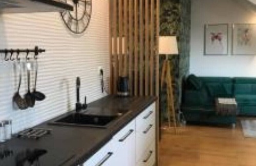 Zotow Apartment | Beautiful and comfortable apartment with the lake view