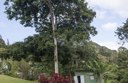 Angeles House | Beautiful and roomy residence close to nature adventure attractions!