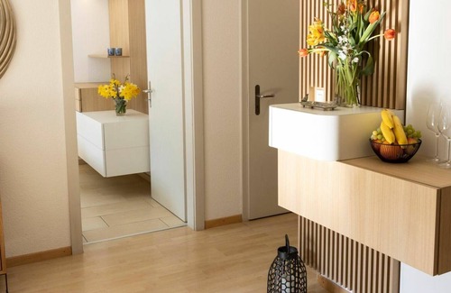 Nussbaumen Apartment | Beautiful apartment for 2 guests with WIFI, TV, balcony and pets allowed