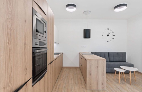 Janov nad Nisou Apartment | Beautiful apartment for 3 guests with WIFI, TV, terrace and parking