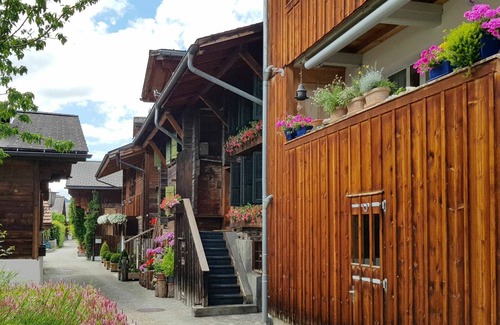 Saanen Apartment | Beautiful apartment for 12 guests with WIFI, TV and terrace