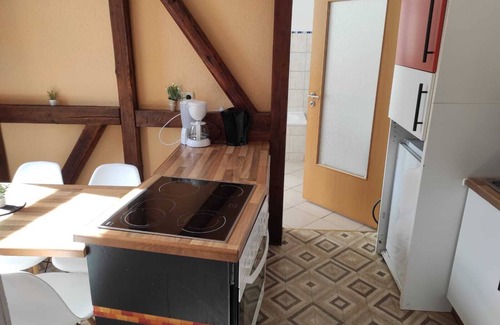 Zeitz Apartment | Beautiful apartment with a large garden