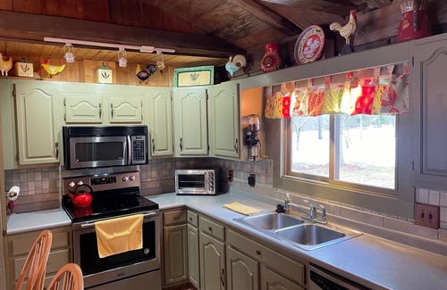 Branch House | Beautiful Cabin with Gorgeous Riverbend View. Great for fishing! Newly Renovated