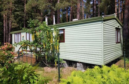 Skulte House | Beautiful holiday home near the pine forest