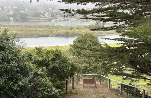 Occidental House | Beautiful home w/sweeping estuary, water views, Wifi, private grill & wood stove