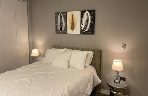 Chihuahua Condo | Beautiful one bedroom Loft