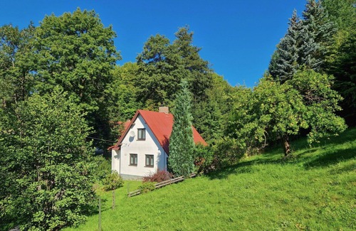 Zelezny Brod Villa | Beautiful private villa for 5 people with TV, terrace and pets allowed