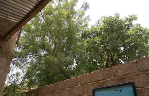 Ouagadougou House | Beautiful property in the center of town