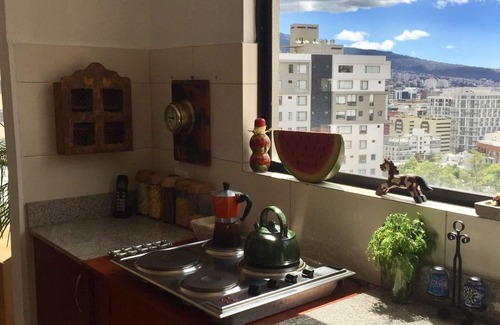 Quito Apartment | Beautiful, safe, centrally located; add private driver with car for $40per day