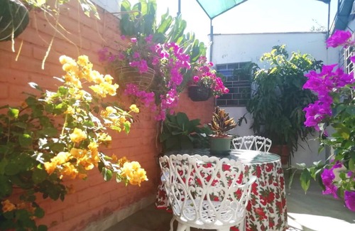San Salvador House | Beautiful & Spacious Terrace Room w/a Garden
