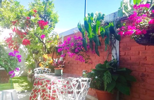 San Salvador House | Beautiful & Spacious Terrace Room w/a Garden